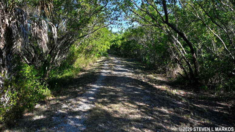 Typical terrain of the Eco Pond Trail in Everglades National Park