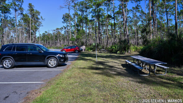 Long Pine Key Picnic Area in Everglades National Park