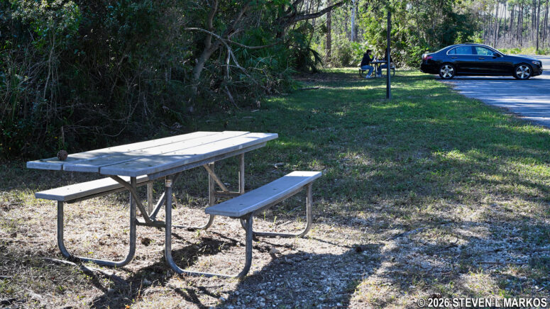 Picnic tables along the road at the Long Pine Key Picnic Area in Everglades National Park