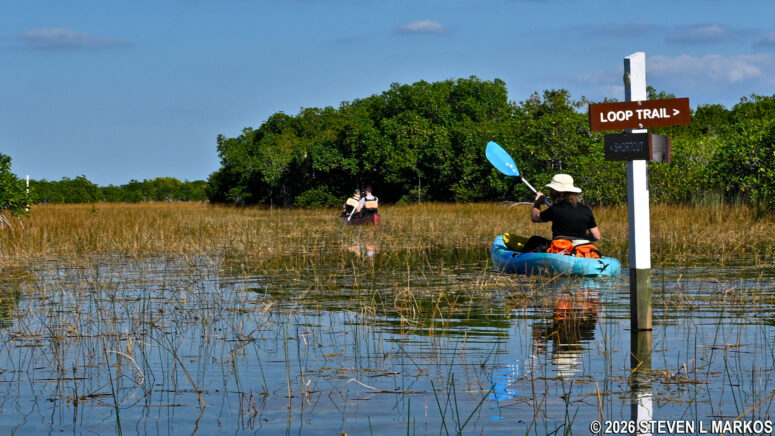 Shortcut sign on the Nine Mile Pond Canoe Trail in the Flamingo unit of Everglades National Park