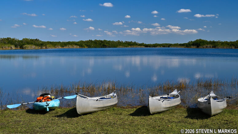 Shore of Nine Mile Pond, Everglades National Park