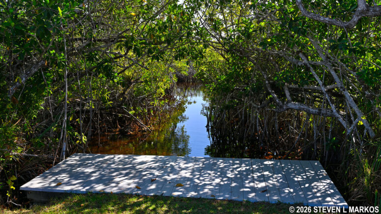 Entrance ramp onto the Noble Hammock Canoe Trail in Everglades National Park