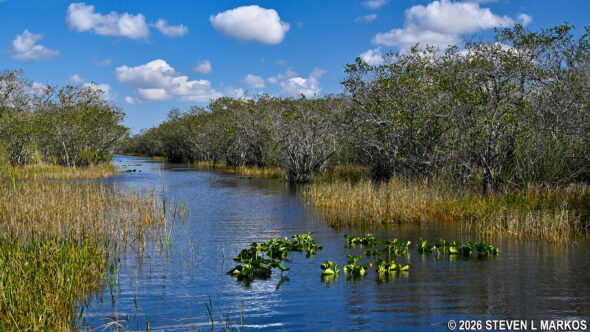 Shark Valley unit of Everglades National Park