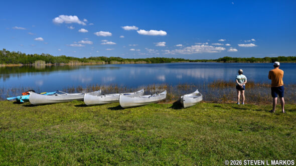 Canoes on the shore of Nine Mile Pond in the Flamingo unit of Everglades National Park