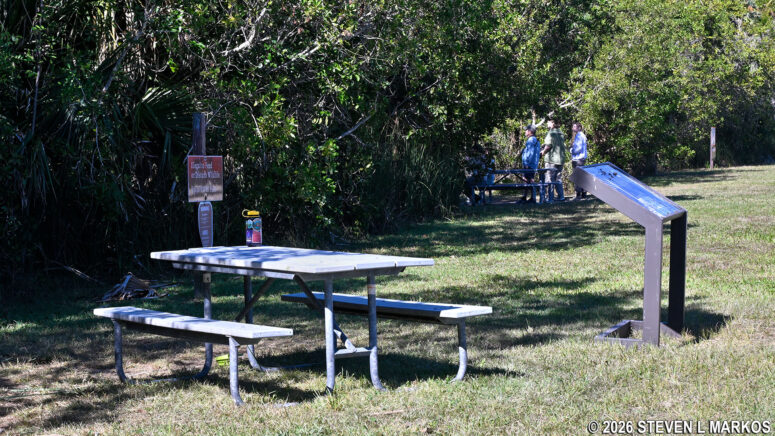 Picnic tables at Paurotis Pond in Everglades National Park