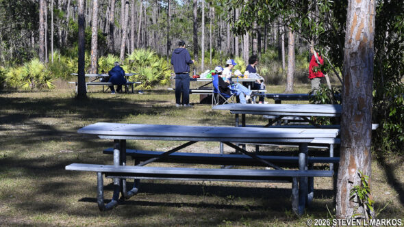 Long Key Pine Picnic Area in Everglades National Park