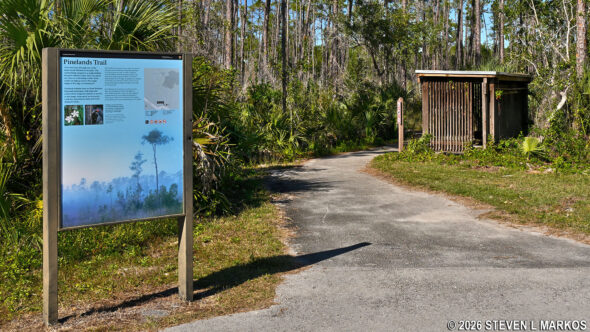 Start of the Pinelands Trail in Everglades National Park