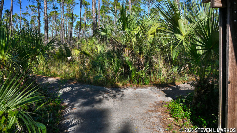 Start of the loop portion of the Pinelands Trail in Everglades National Park