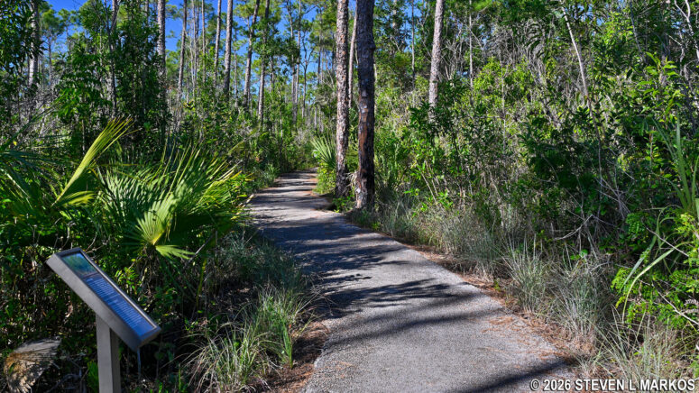 Signs along Everglades National Park's Pinelands Trail educate visitors on the pineland habitat