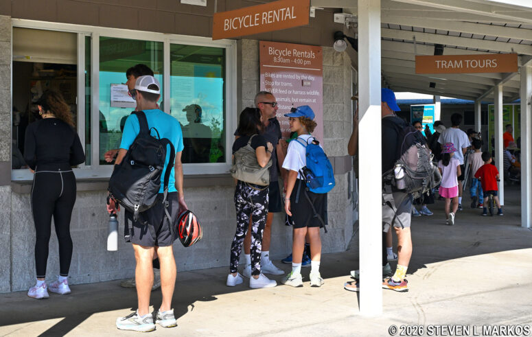 Bike rental office at Shark Valley, Everglades National Park