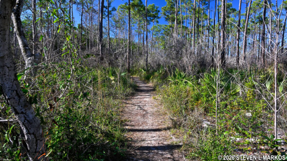 Three-in-One Trail in the Royal Palm unit of Everglades National Park