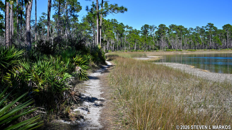 Trail along Long Pine Key Lake in Everglades National Park