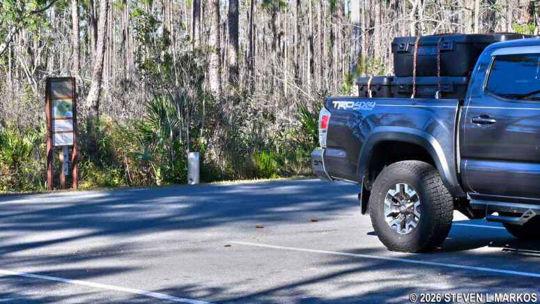 Three-in-One Trail ends on the other side of the road from the trailhead, Everglades National Park