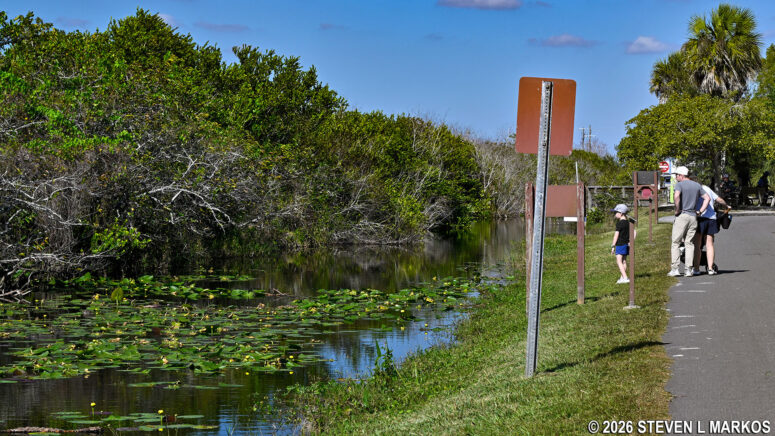 Canal along the west side of the Shark Valley Loop Road in Everglades National Park