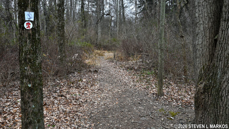 Patriots Path and New Jersey Brigade tags mark the route of the New Jersey Brigade Trail, Morristown National Historical Park