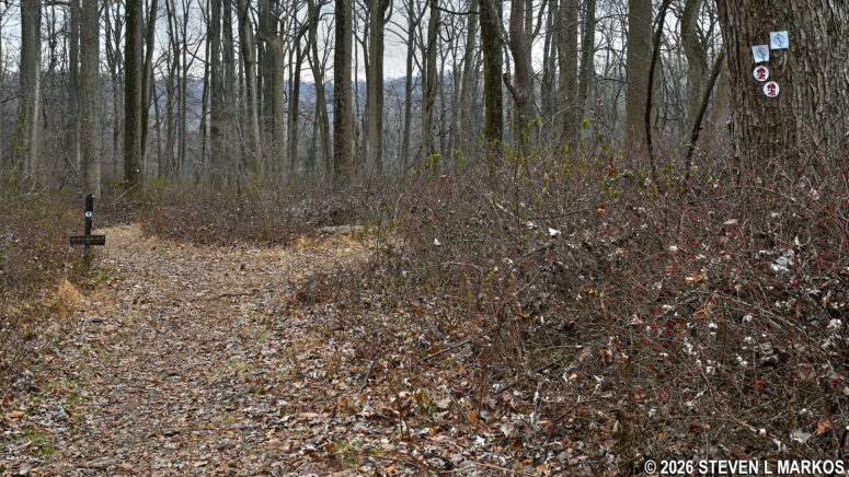 Intersection of the connector trail from the Cross Estate Gardens and the Patriots Path, Morristown National Historical Park