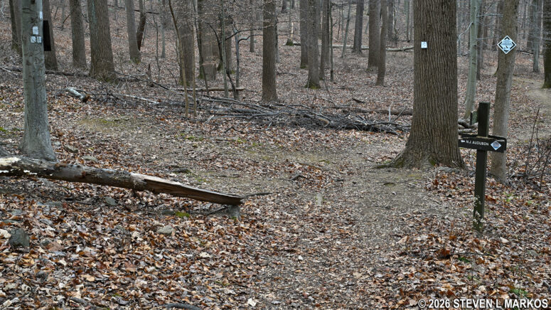 Intersection of the New Jersey Brigade Trail / Patriots Path and trail to the New Jersey Audubon Wildlife Sanctuary, Morristown National Historical Park