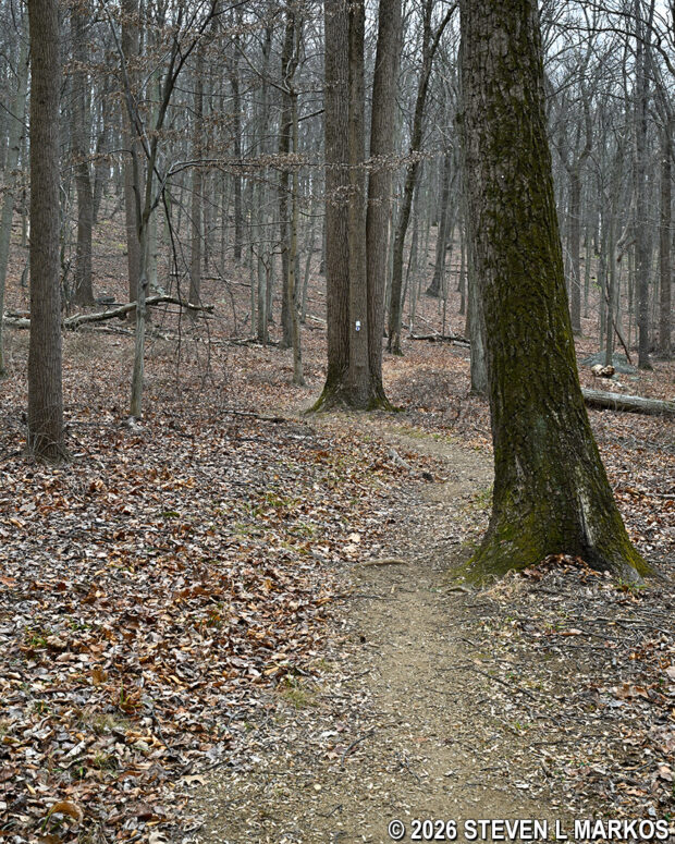 Typical terrain of the New Jersey Brigade Trail / Patriots Path, Morristown National Historical Park