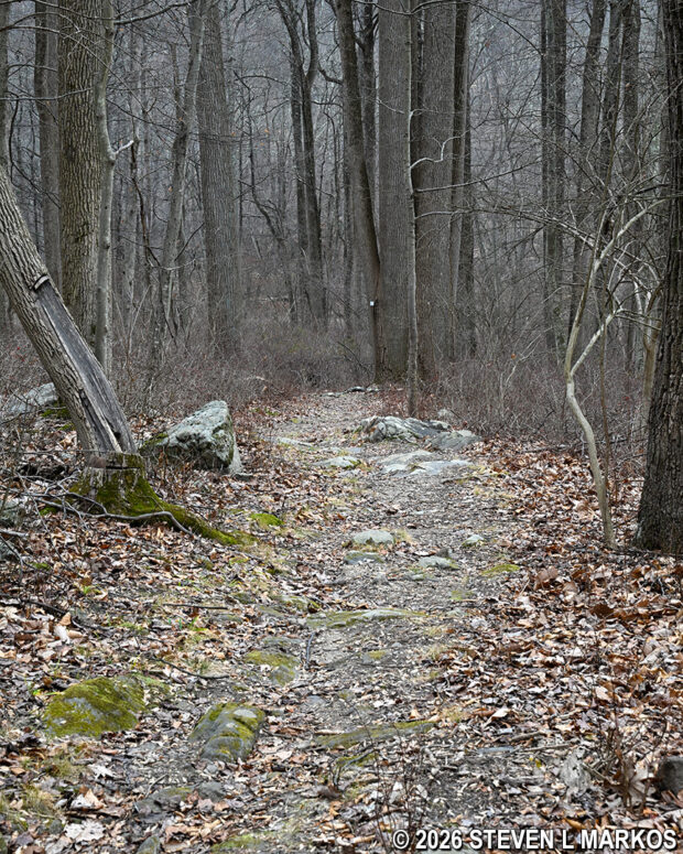 Rocky terrain on the lower end of the loop around the New Jersey Brigade Encampment in Morristown National Historical Park