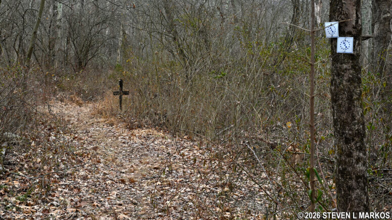 Far end of the loop around the New Jersey Brigade Encampment Site in Morristown National Historical Park