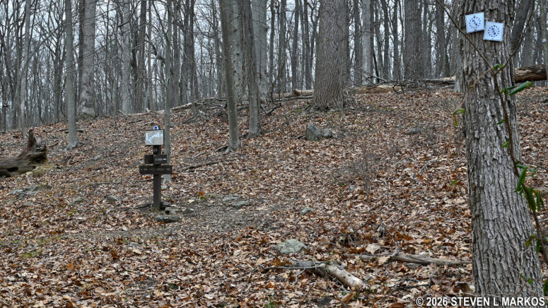 Turn on loop portion of the New Jersey Brigade Trail that leads to the encampment ruins, Morristown National Historical Park