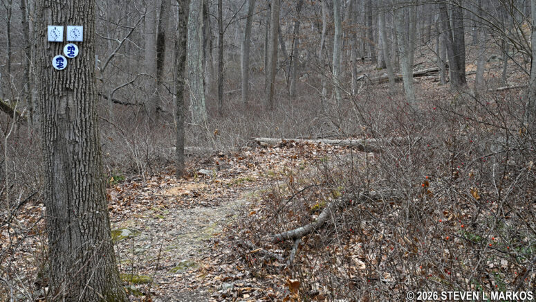 Back at the start of the loop portion of the New Jersey Brigade Trail at Morristown National Historical Park