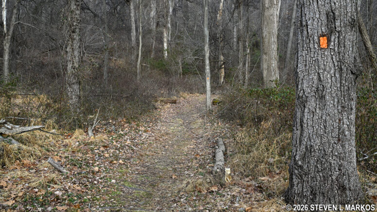 Typical terrain on the Soldier Hut Trail in Morristown National Historical Park