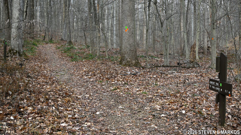 Split between the Soldier Hut and Aqueduct trails in the Jockey Hollow area of Morristown National Historical Park