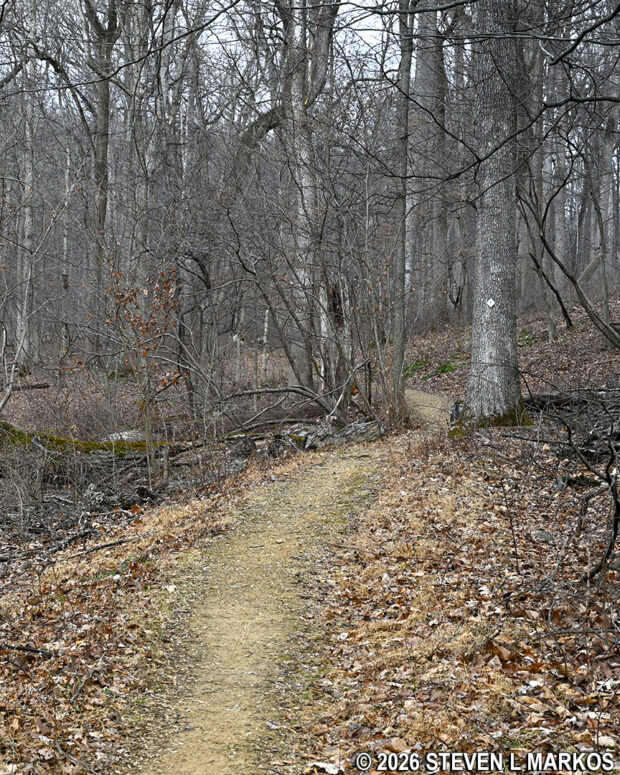 Typical terrain on the last .3 miles of the Soldier Hut Trail before the Pennsylvania Line Encampment Site at Morristown National Historical Park