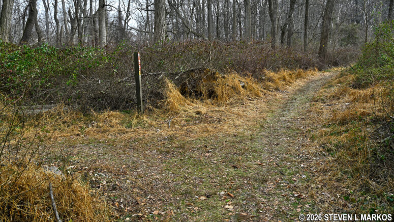 Intersection of the Grand Parade and Orange trails in the Jockey Hollow unit of Morristown National Historical Park