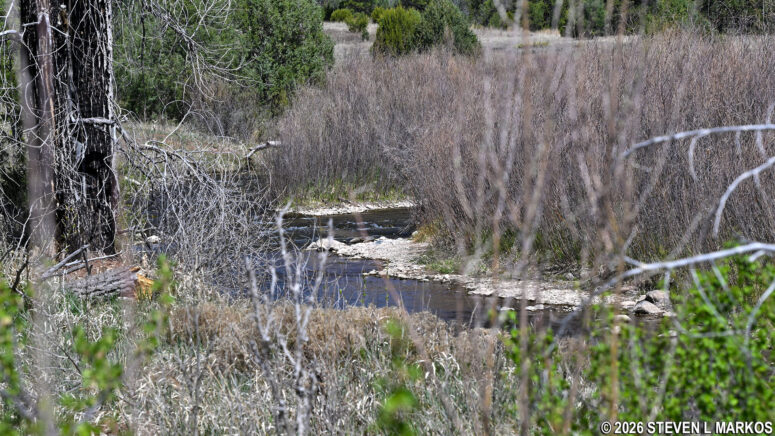 View of the Pecos River from the South Pasture Loop Trail, Pecos National Historical Park