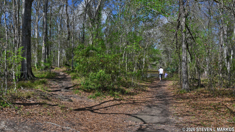 Path to the canoe launch at the Twin Canals Trail in the Barataria Preserve, Jean Lafitte National Historical Park and Preserve