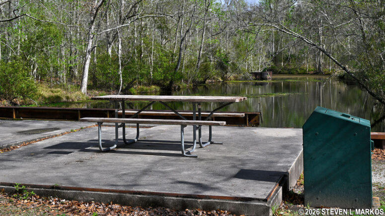 Picnic table at the Twin Canals Trail, Jean Lafitte National Historical Park and Preserve
