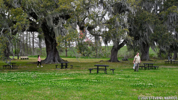 Picnic area at Chalmette Battlefield, Jean Lafitte National Historical Park and Preserve
