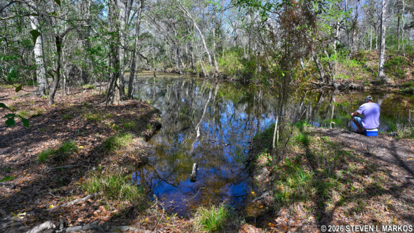 Canoe launch at the Twin Canals Trail, Jean Lafitte National Historical Park and Preserve