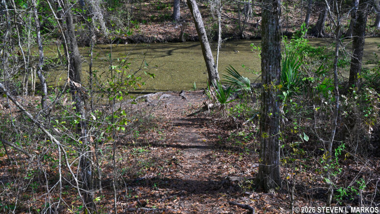 Path down to the northside canal on the Twin Canals Trail in the Barataria Preserve, part of Jean Lafitte National Historical Park and Preserve