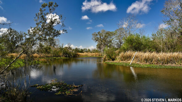 Barataria Preserve at Jean Lafitte National Historical Park and Preserve