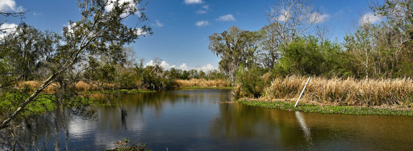 JEAN LAFITTE NATIONAL HISTORICAL PARK AND PRESERVE