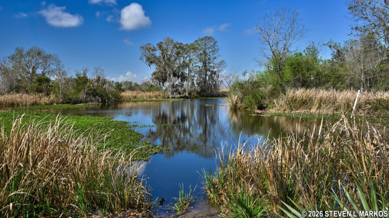 View at the end of the Twin Canals Trail, Jean Lafitte National Historical Park and Preserve
