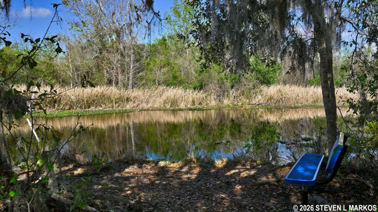 Bench at the end of the Twin Canals Trail, Jean Lafitte National Historical Park and Preserve