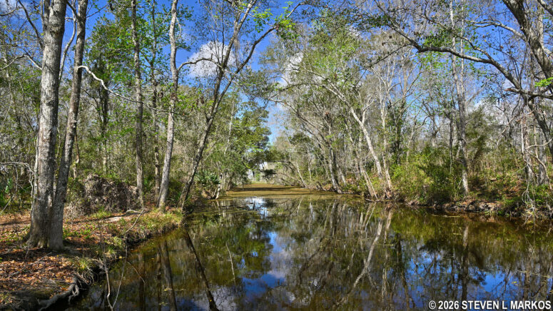 Northern Twin Canal near the canoe launch in the Barataria Preserve, Jean Lafitte National Historical Park and Preserve