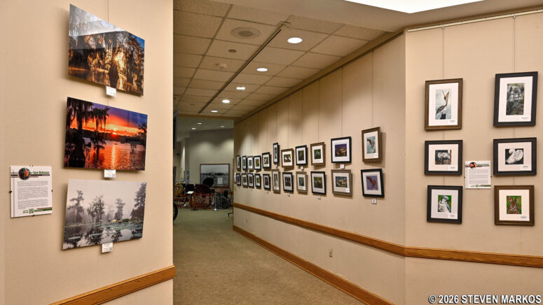 Rotating art exhibit at the Prairie Acadian Cultural Center, Jean Lafitte National Historical Park and Preserve