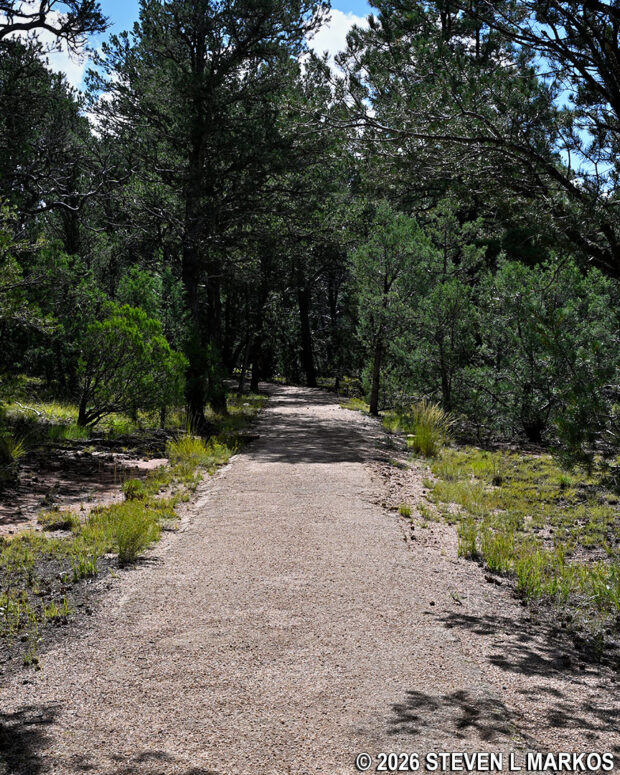 Paved trail that cuts from one side of the Glorieta Battlefield Trail loop to the other, Pecos National Historical Park