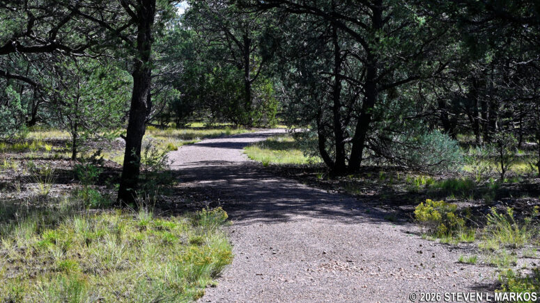 Typical terrain on the southeastern sloop of the Glorieta Battlefield Trail in Pecos National Historical Park