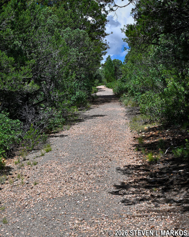 Typical terrain in the hilly northwestern section of the Glorieta Battlefield Trail in Pecos National Historical Park