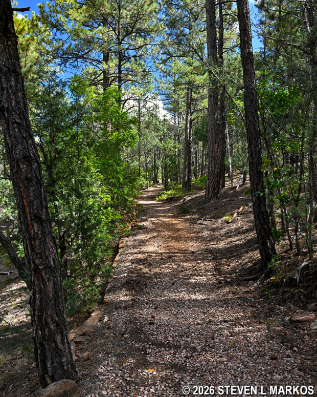 The Glorieta Battlefield Trail in Pecos National Historical Park is a wide, gravel path