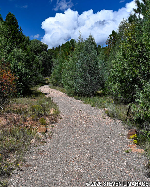 Glorieta Battlefield Trail at Pecos National Historical Park