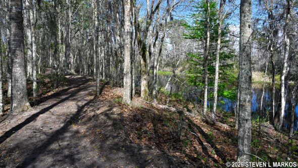 Twin Canals Trail in the Barataria Preserve at Jean Lafitte National Historical Park and Preserve
