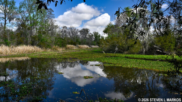 Barataria Preserve, part of Jean Lafitte National Historical Park and Preserve