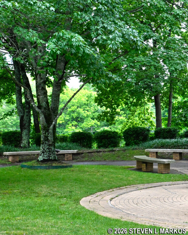 A few of the benches and trees dedicated to the Little Rock Nine at the Central High Commemorative Garden, Little Rock Central High School National Historic Site